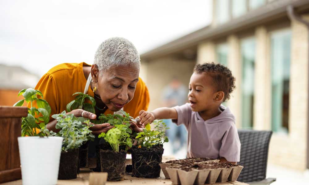 grandmother and grandson enjoy planting herbs together outdoors