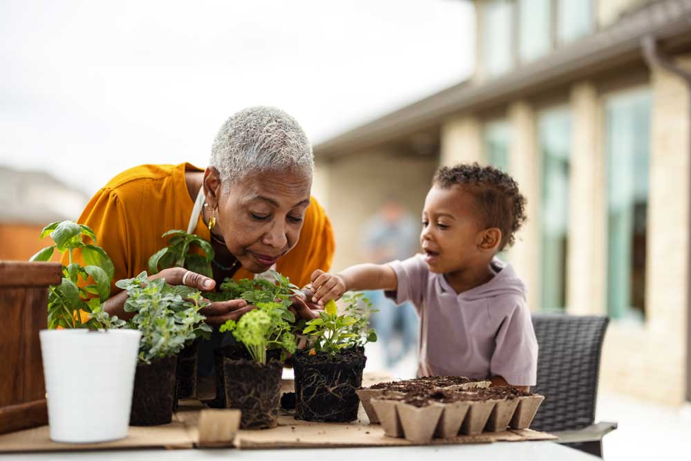 grandmother and grandson enjoy planting herbs together outdoors